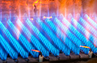 Myrelandhorn gas fired boilers
